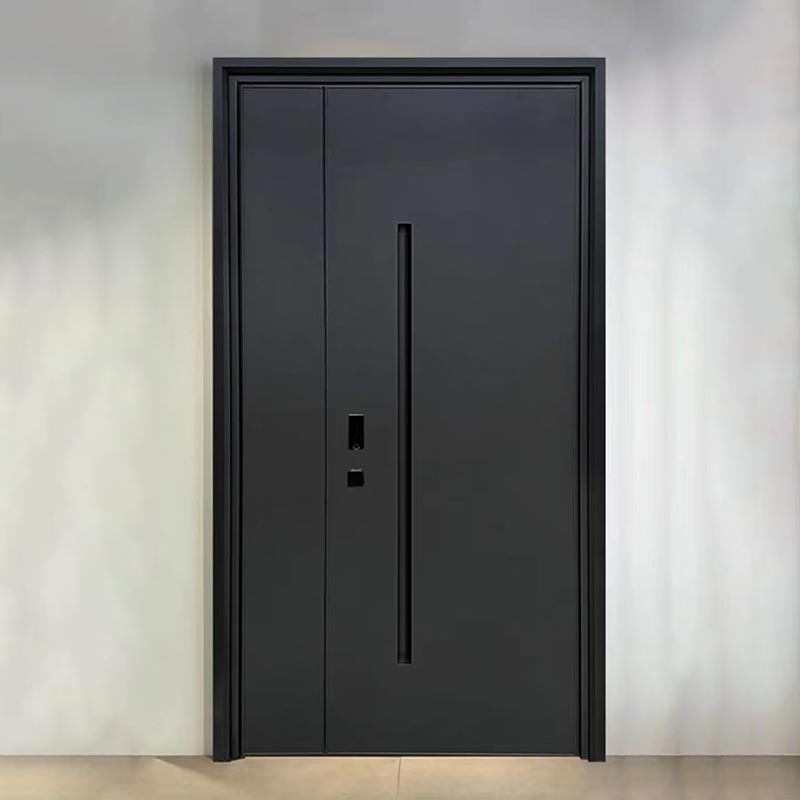 Italiaanse minimalistische koper-aluminium moeder-zoondeur